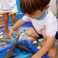 explorando-o-fundo-do-mar-