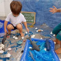 explorando-o-fundo-do-mar-