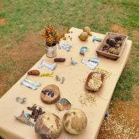 mostra-cultural-2022-