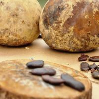 mostra-cultural-2022-